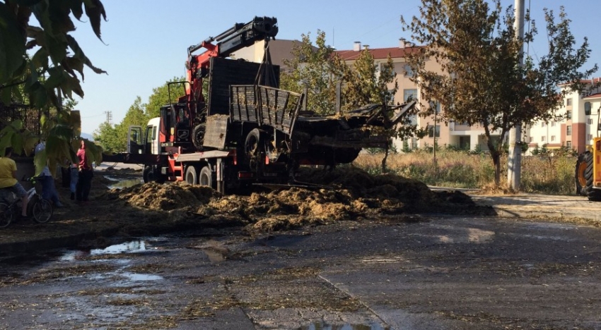 Bursa'da saman yüklü kamyon küle döndü
