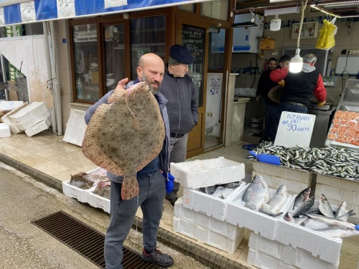 Yaklaşık 9 kilogramlık kalkan balığı 5 bin TL'ye satıldı 