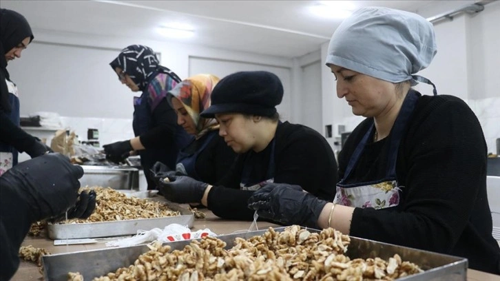 Yalova'da yetişen meyveler kadınların elinde katma değerli ürüne dönüşüyor