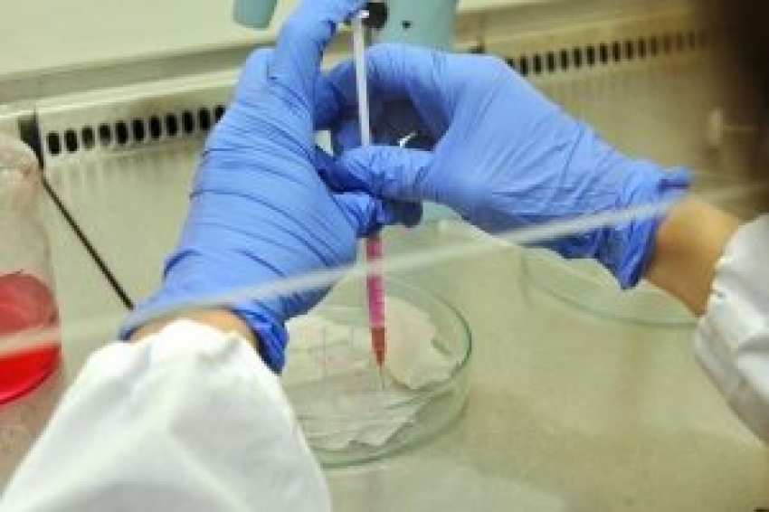 Canlı deri hücresine nano doku transferiyle tedavi imkanı