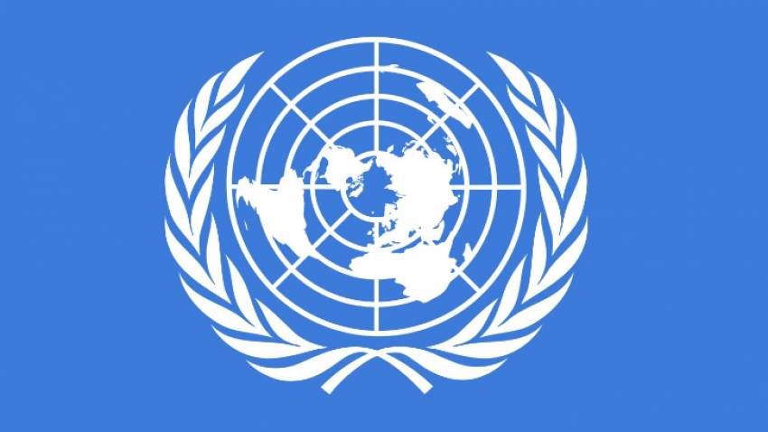BM komiserinden Halep’e ’mezbaha’ nitelemesi