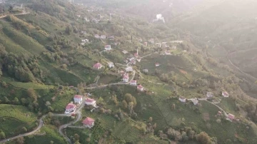 3 mahalle arasında kalan köy ’doğalgaz’ umuduyla mahalle olabilmek için referanduma gidiyor
