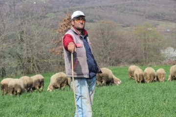 55 yaşında şehir hayatından kaçtı, çobanlık yapmaya başladı 