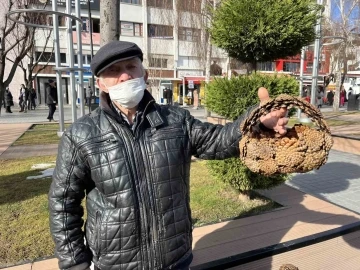 79 yaşında, elleriyle ördüğü kozalak sepetlerini sokaklarda satıyor
