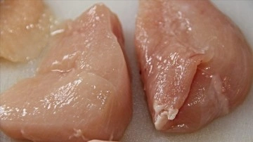 ABD Tarım Bakanlığından laboratuvarda üretilen tavuk etinin satışına onay
