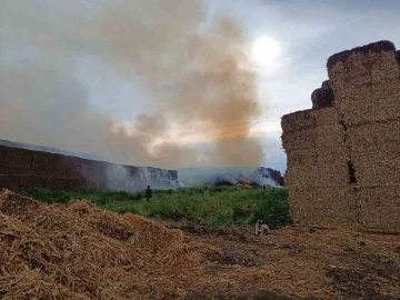 Adana’da saman balyalarının bulunduğu alanda yangın çıktı
