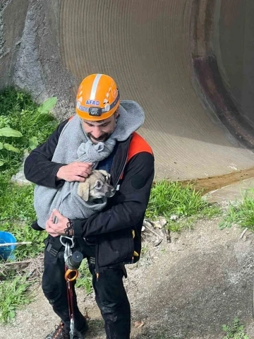 AFAD, 25 metrelik borunun içinde sıkışan yavru köpeği kurtardı

