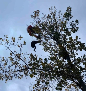 Ağaçta asılı kalan paraşütçüyü itfaiye kurtardı
