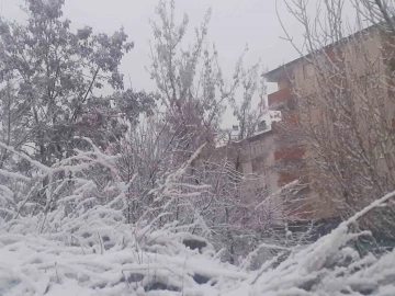 Ağrı’da Mart’ta kar sürprizi: Şehir beyaza büründü
