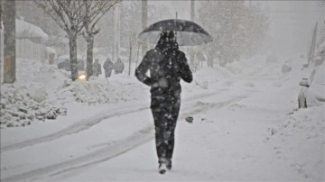 Ağrı ve Ardahan'da kar yağışı etkili oluyor