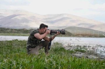 Aladağlar Milli Parkı ve Niğde Akkaya Barajı, kuş fotoğrafçılarının mekanı oldu