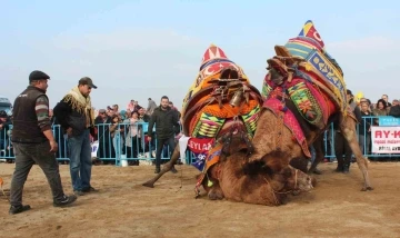 Alaşehir geleneksel deve güreşleriyle renklenecek
