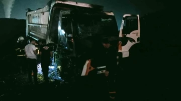 Alevlere teslim olan kamyon talaş yüklü kamyon yandı
