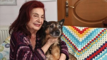 'Hayattaki en yaşlı köpek' için Guinness Rekorlar Kitabı'na başvurdu
