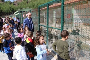Amasya Belediyesi hayvan barınağına AVHO başkanından takdir