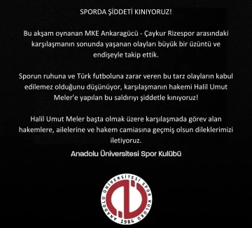 Anadolu Üniversitesi Spor Kulübü:
