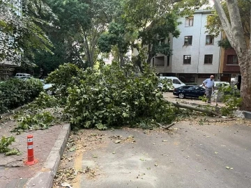 Ankara’da fırtına etkili oldu, ağaçlar araçların üzerine devrildi