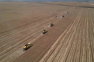 Ankara’nın tahıl ambarında hasat zamanı
