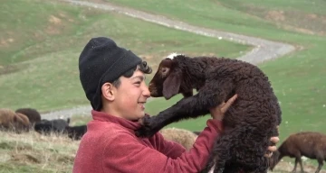Annesinin reddettiği kuzuya küçük çoban sahip çıktı
