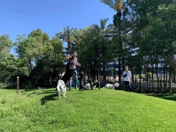 Antalya Büyükşehir Belediyesince yenilenen köpek parkı hizmete girdi
