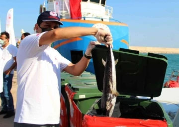 Antalya’da balıkçılara istilacı balon balığı bereketi
