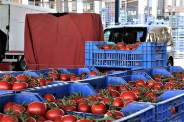 Antalya’da domates miktarı yıllık endekste yüzde 4,32 arttı
