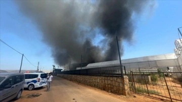 Antalya'da çiçek üretici firmasında yangın çıktı
