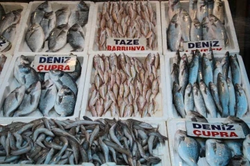Av yasağının başlamasıyla balık çeşitliliği azalacak, fiyatlar aynı kalacak