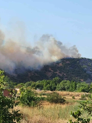 Balıkesir Valisi Ustaoğlu: &quot;Orman yangını kontrol altına alındı&quot;
