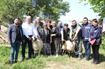 Başkan Çerçioğlu’ndan koyunları telef olan üretici kadına destek
