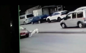 Başkentte köpeğe çarpıp kaçan sürücü güvenlik kameralarına yakalandı
