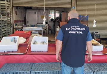 Beyşehir’de balık işleme tesisleri ve balık satış yerleri denetlendi
