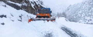 Beytüşşebap’ta kar kalınlığı 1 metreyi geçti, 20 köy yolu ulaşıma kapandı
