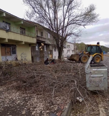 Bingöl’de fırtına nedeniyle devrilen ağaçlar, belediye ekiplerince kaldırılıyor