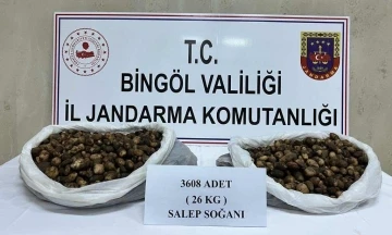 Bingöl’de salep soğanı toplayan şahıslara 488 bin 630 lira para cezası kesildi
