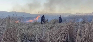 Yüksekova'da kuş türlerinin yaşadığı Nehil Sazlığı’nda yangın