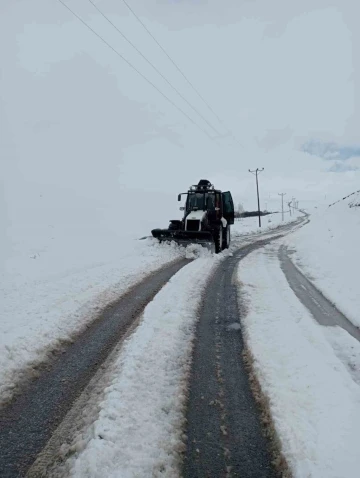 Bitlis’te 45 köy yolu ulaşıma kapandı
