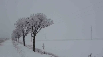 Bitlis’te yoğun kar yağışı ve tipi hayatı olumsuz etkiliyor
