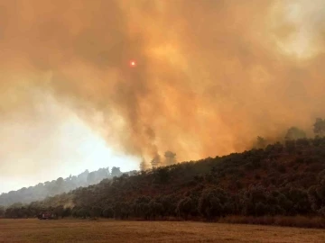 Bodrum’daki orman yangınına havadan ve karadan müdahale sürüyor
