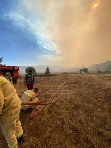 Bolu-Ankara sınırında orman yangını
