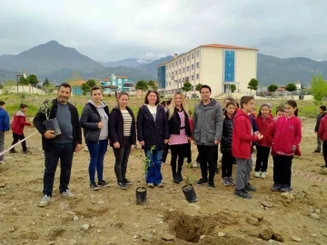 Buharkent Zafer Ortaokulu bahçesine 70 adet zeytin fidanı dikildi
