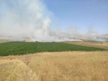 Burdur’da çıkan yangında 100 dönümlük tarım arazisi kül oldu
