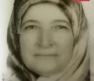 Bursa'da, arının soktuğu kadın öldü