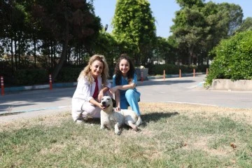 Bursa'da 'Benek' isimli köpeğin yeniden koşma heyecanı 