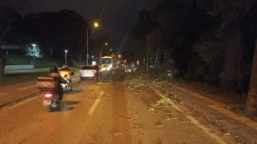 Bursa'da fırtınalı gecenin raporu: Toplam 607 olaya müdahale edildi 