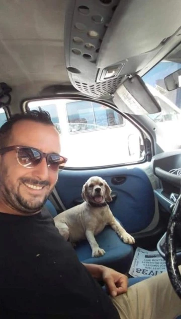 Bursa'da köpeğini 5 kez buldu, 6. kez çaldılar