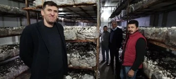 Bursa'da köye üretim üssü kurdu, şehrin mantar ihtiyacını karşılıyor