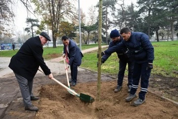 Bursa'da lodos nedeniyle devrilen ağaçların yerine Osmangazi Belediyesi tarafından yeni fidanlar dikiliyor