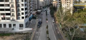 Bursa’da manolya ağaçları caddeleri süsledi