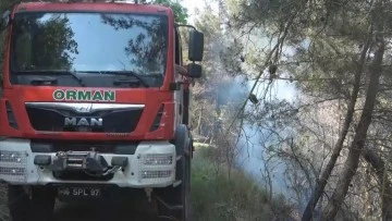 Bursa'da ormanlık alanda yangın 